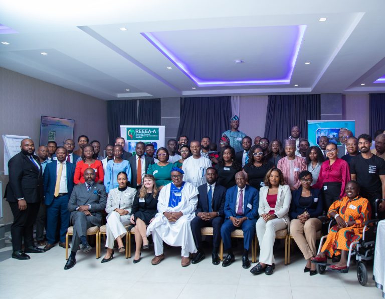 Read more about the article Mobilizing Investments for Clean Energy in Emerging Economies (MICEE) Nigeria Country Roundtable