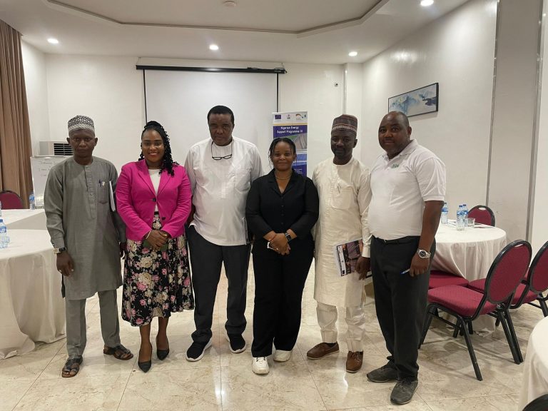 Read more about the article Alliance Participates in NEMSA Workshop on Solar Mini-Grid Standards in Nigeria.